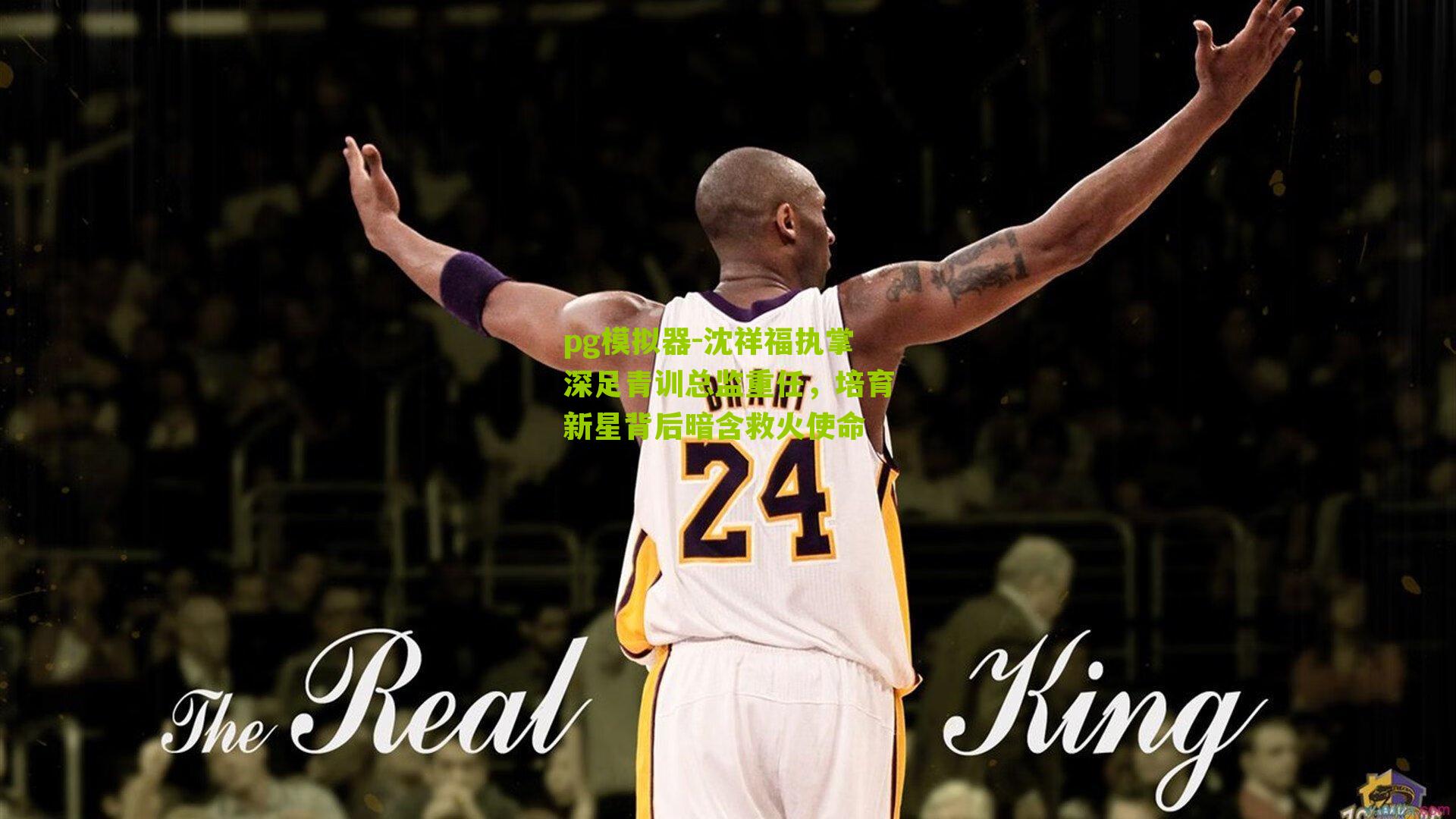 pg模拟器-沈祥福执掌深足青训总监重任，培育新星背后暗含救火使命